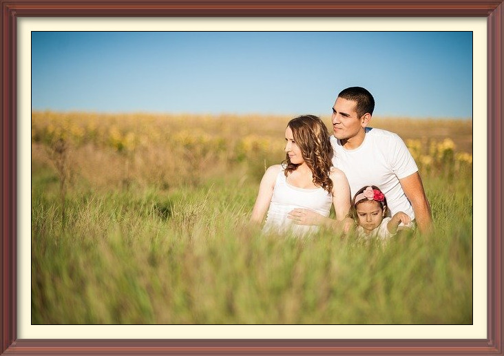 Laird Township Municipal site