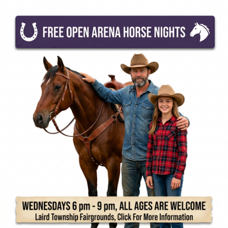 Link to free open arena horse nights webpage